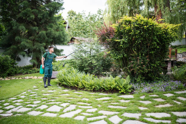 Best Insect Control  in Lake Telemark, NJ