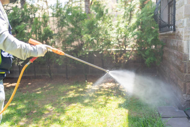 Best Local Pest Control Services  in Lake Telemark, NJ