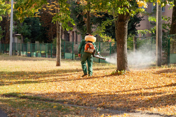 Flea Control Services in Lake Telemark, NJ