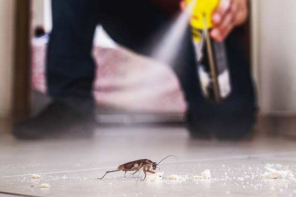 Best Exterminator Services  in Lake Telemark, NJ