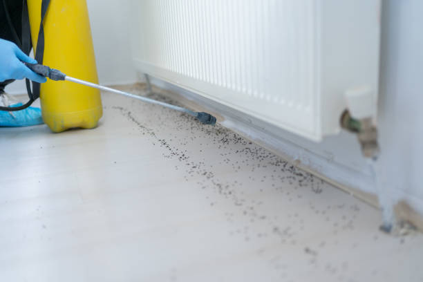 Best Emergency Pest Control  in Lake Telemark, NJ