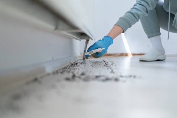 Best Best Pest Control Companies  in Lake Telemark, NJ